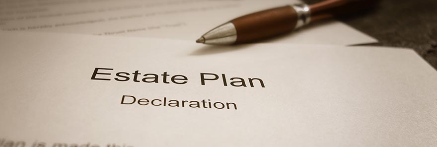 estate plan declaration