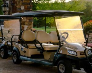 multi-seat golf cart